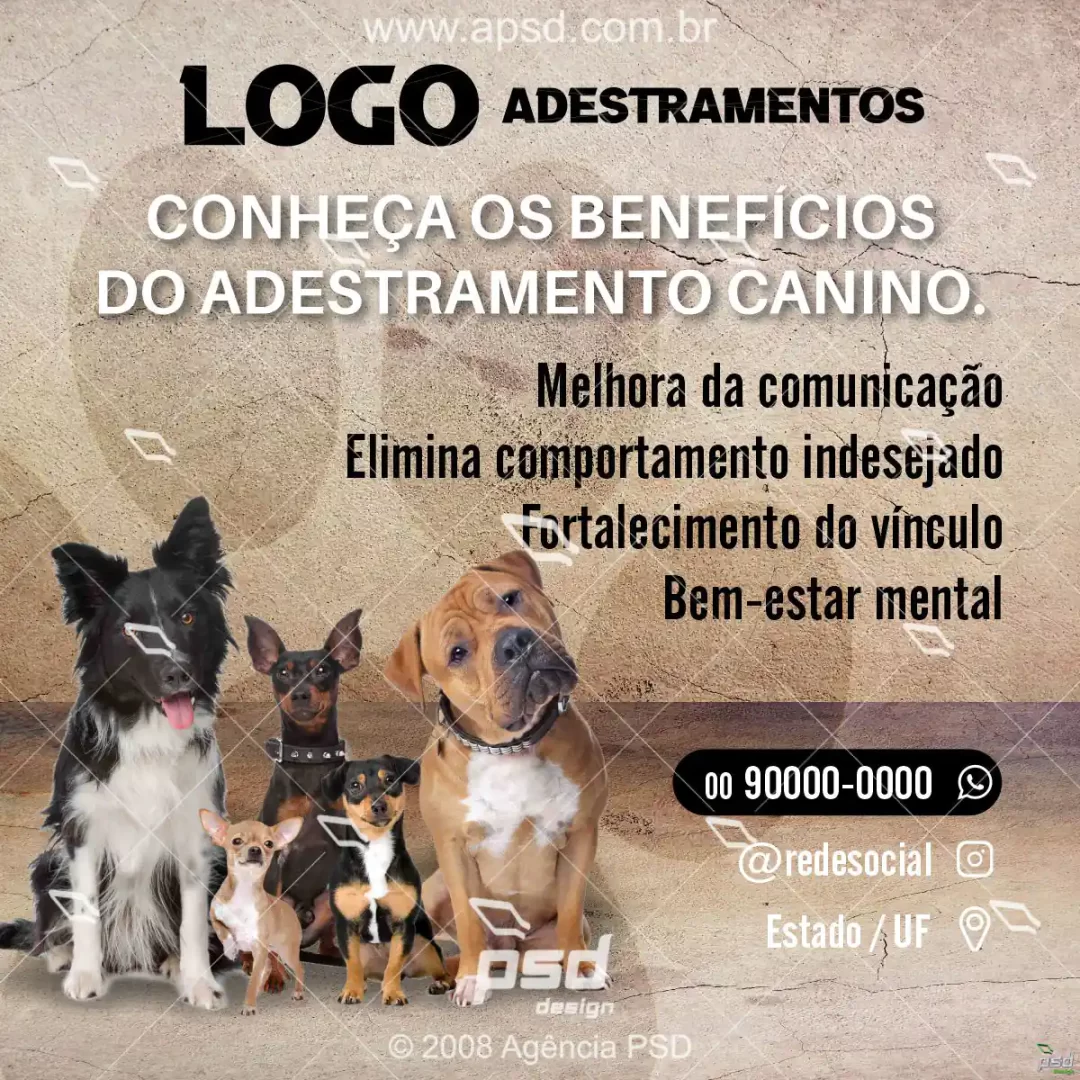 mídia digital adestramento